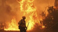 Wildfire in canyon north of Los Angeles forces evacuations