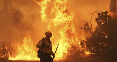 Wildfire in canyon north of Los Angeles forces evacuations