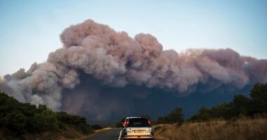 Cars drive past a fast-moving wildfire in a Mediterranean region of France near the Spanish border is pictured Tuesday Aug.5, 2025. (Richard Capoulade/UGC via AP)