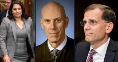 Will D.C Circuit put Trump admin back on hook for contempt?