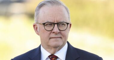 Prime Minister Anthony Albanese at a doorstop interview