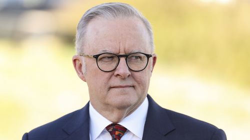 Prime Minister Anthony Albanese at a doorstop interview
