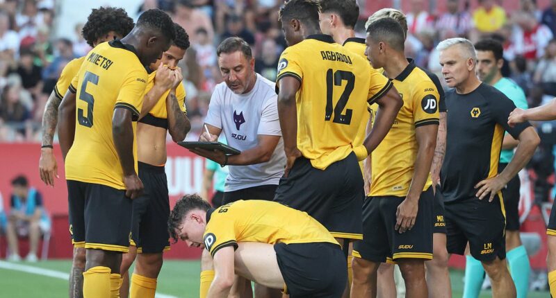 Wolves transfer news: The 'Vitor Pereira test' every signing must pass, what's really happening with his contract, the next targets on their list and this summer's behind the scenes upgrades