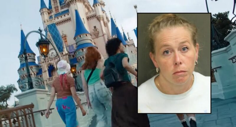 Woman allegedly tried to smuggle meth into Disney World