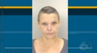 Woman arrested following multi-county police chase