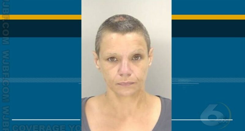 Woman arrested following multi-county police chase