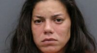 Woman arrested in connection with 3 'emaciated' dogs abandoned behind Lutz gas station