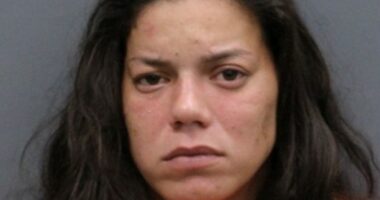 Woman arrested in connection with 3 'emaciated' dogs abandoned behind Lutz gas station