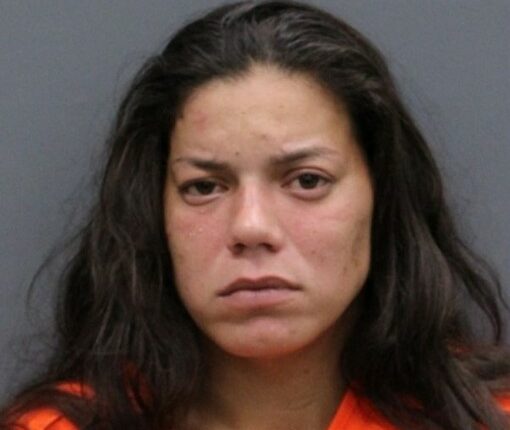 Woman arrested in connection with 3 'emaciated' dogs abandoned behind Lutz gas station