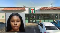 Woman brags about stabbing rival in 'mother f—ing brain': DA