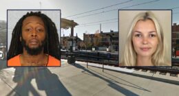 Woman brutally stabbed to death on light trail train: Police