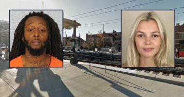 Woman brutally stabbed to death on light trail train: Police