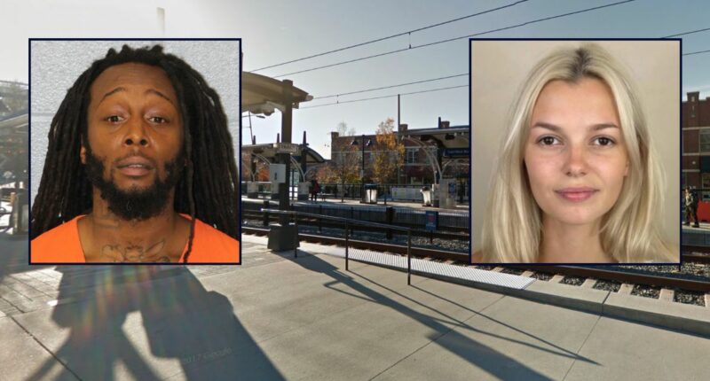 Woman brutally stabbed to death on light trail train: Police