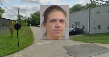 Woman pleads guilty to fatal shooting and decapitation