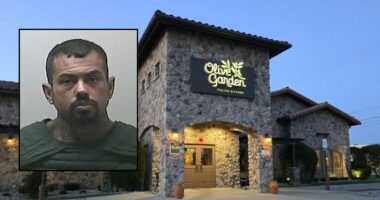 Woman shot by fiancé at Olive Garden defended him in court