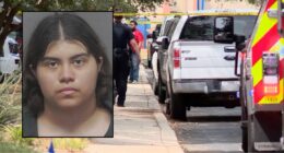 Woman stabbed mother 'well over a couple dozen times'