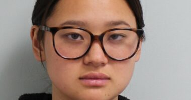 Woman tried smuggling £800k worth of crack cocaine into UK in cheese