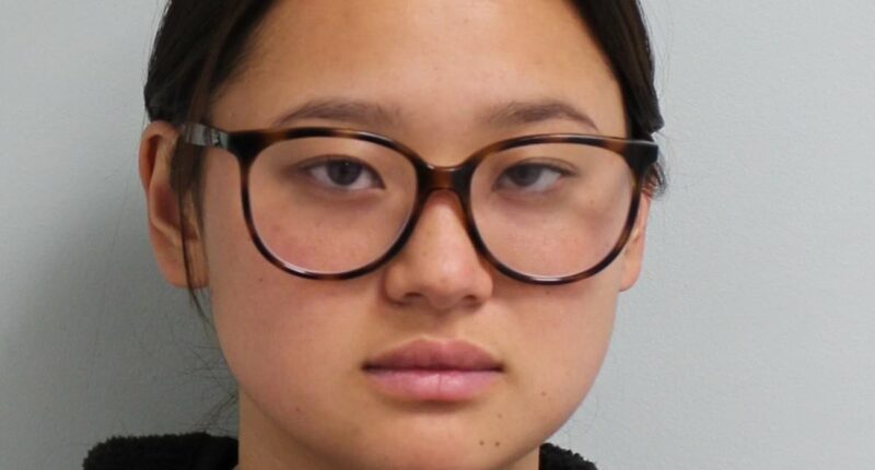 Woman tried smuggling £800k worth of crack cocaine into UK in cheese
