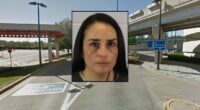 Woman tried to kidnap 2 children on father's behalf: Police