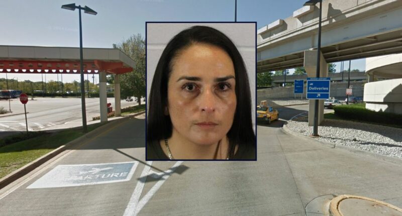 Woman tried to kidnap 2 children on father's behalf: Police