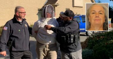 Woman unleashed beehives on deputies and bystanders: Cops