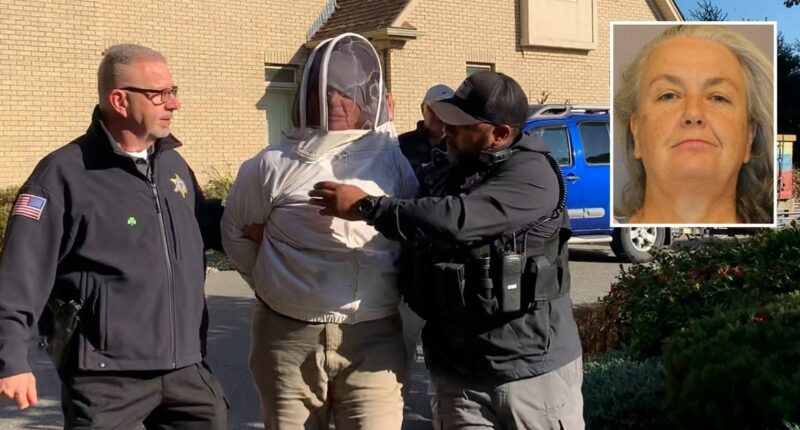 Woman unleashed beehives on deputies and bystanders: Cops