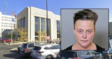 Woman wanted hitman to use oleander to kill parents: Police
