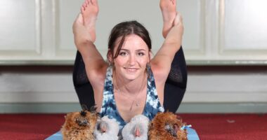 Would you dare try the latest trend in stress relief... a yoga session with fluffy chickens!