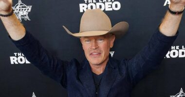 Yellowstone's Neal McDonough denies that Hollywood 'turned' on him