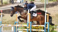 Zara Tindall competes at The Hartpury International Horse Trials as daughter Mia, 10, watches her in action
