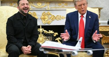Volodymyr Zelensky and Donald Trump in a meeting.