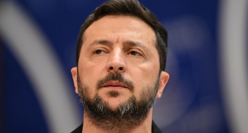 Zelenskyy Reacts to Trump and Putin Meeting Next Week in Alaska