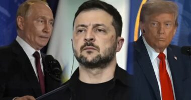 Zelenskyy-Trump meeting: Ukrainian-Americans in Chicago hope for productive meeting at White House after Putin summit in Alaska