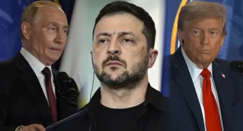 Zelenskyy-Trump meeting: Ukrainian-Americans in Chicago hope for productive meeting at White House after Putin summit in Alaska