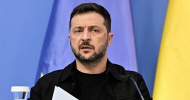 Zelenskyy, ahead of Trump-Putin meeting, says there is 'no sign' Russia wants to end the war