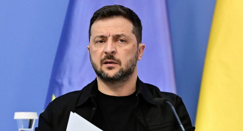 Zelenskyy, ahead of Trump-Putin meeting, says there is 'no sign' Russia wants to end the war