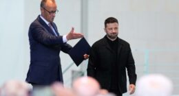 Zelenskyy meets Merkel ahead of Trump-Putin summit talks