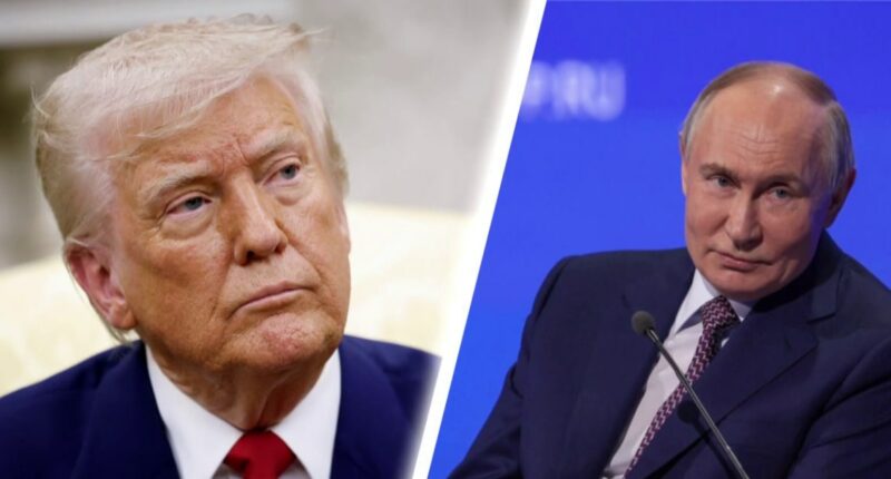 Zelenskyy rejects Trump land swap proposal for Ukraine