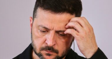 Zelenskyy rejects formally ceding Ukrainian territory, says Kyiv must be part of any negotiations