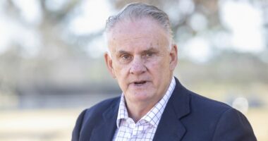 'Abusive obsession': Mark Latham targeted in court over sex act tweet