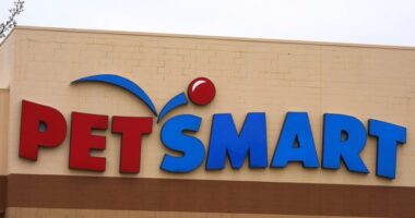 'Immoral:' Colorado sues PetSmart over dog groomer training program