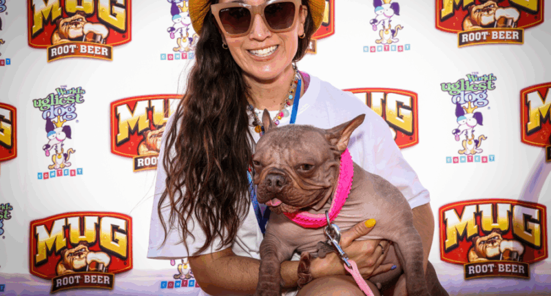 OR dogs: Petunia, Eugene, Oregon dog wins World's Ugliest Dog contest