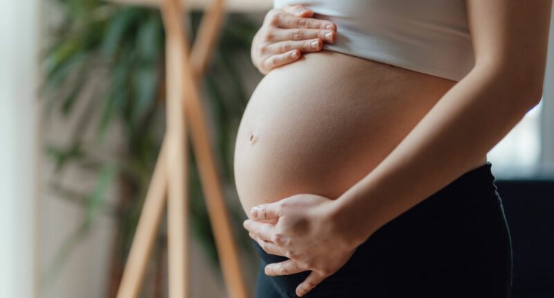 'Severe consequences' for pregnant women as Oropouche virus spreads
