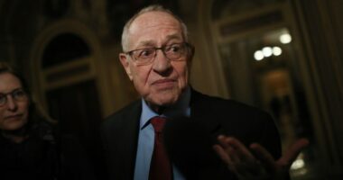 'Trump is wrong' about Epstein files: Alan Dershowitz