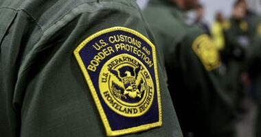 72 pounds of hash found in carry-on luggage at Chicago airport: CBP