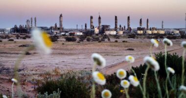 Abu Dhabi Struggling To Land Santos, Its Aussie Takeover Target