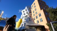 Advocates fear Trump's plans after directive for transparent college admissions data