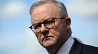 Albanese clashes with Trump ambassador over Palestine decision