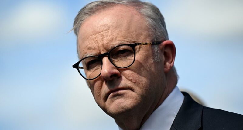 Albanese clashes with Trump ambassador over Palestine decision