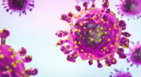 Alert issued by health chiefs after oropouche virus is detected in three Britons, these are the warning signs of 'sloth fever'